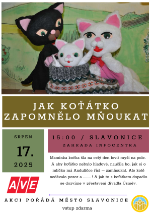 Roztomilé koťátko na scéně