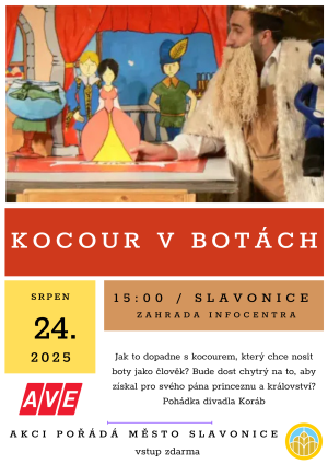 Kocour v botách