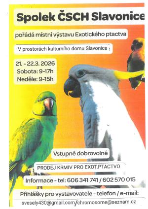 výstava exotického ptactva