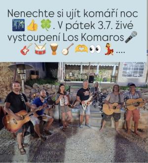 hudební vystoupení na akci